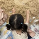 포포아트 미술놀이5 이미지