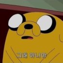 과수원아침