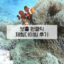 원클릭여행 | 보홀여행 원클릭 보홀 체험다이빙 후기 | 필리핀 바다 차원이 달라