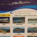 마린파크 동물병원 이미지