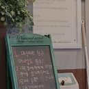 퍼피포레스트 이미지