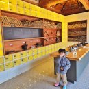 영천한의원 | 대구근교 아기랑 가볼만한곳 한옥체험관 족욕체험 가능한 영천 한의마을