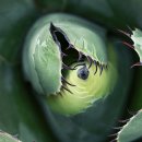 부천자연생태박물관 이미지