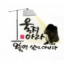 캘리 이미지