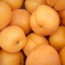 황금과일 이미지