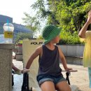 옥마벚길 이미지