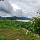 남원 진기리 느티나무 이미지