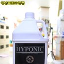 캣 미용실 이미지