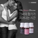 허브블러썸 이미지
