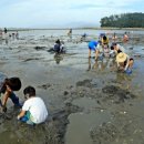 문항어촌체험마을 이미지