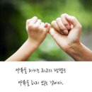 약속 Daum카페