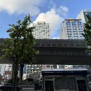 유림노르웨이숲세탁 이미지