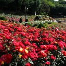 계절여행 이미지