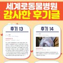 세계로 동물병원 이미지