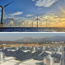 지축태양광발전소 이미지