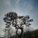 한미산 흥국사 만일회비 이미지