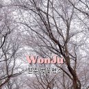 문막체육공원길 이미지