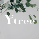 주식회사 와이트리