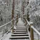 물영아리오름 이미지