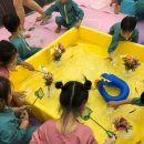 꿈동산몬테소리어린이집 이미지