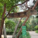 삼태기길 이미지