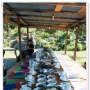 마그실농원 이미지