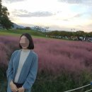 정복상회 이미지