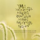 오포1동-4 이미지