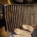 강남모터스 이미지