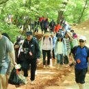 "황톳길 걷고 건강 되찾았다" 암극복 사례… 선양 조웅래 회장이 받은 문자 -대전일보 뉴스기사 이미지