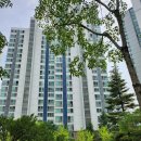 반송동100 이미지