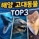 해양 고대동물 TOP3: 모사사우루스, 덩클레오스테우스, 메갈로돈