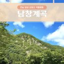 장성군 수영장 주차장 | 전남 장성 남창계곡 물놀이 포인트 주차장+애견동반 가능한 남창농원 방문 후기