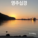 관문공판장 | 제주도 관광명소 &#39;영주십경&#39; 제주가 키운 막내딸이 알려준다