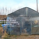 원정 농장 이미지