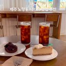제주돌체 | 제주 노형동 디저트 맛집 카페 동박파티세리 선물세트 추천