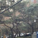 장태산휴양림 | 서울근교 태교여행 대전 갈만한곳 추천 장태산 자연휴양림 꿀팁 후기