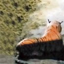 호랑이농장 이미지