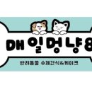 매일멍냥8 이미지