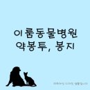 이룸메드 이미지