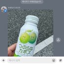 우리이용원 | 유후인버스투어 내돈내산후기|잇쇼니투어일정·자유시간·누루카와온천까지 완벽