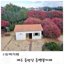 동박낭 | 제주동백카페 동박낭 서귀포 동백카페 내돈내산 재방문 후기