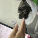 아주동물병원 이미지