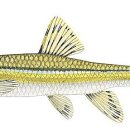 나라(214) 이미지