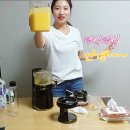 알파냉동 이미지