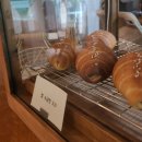 서홍동-8 | 서홍동 카페 소소림 Feat. 서귀포 쌀소금빵 맛집 💕