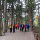 유가초등학교 이미지