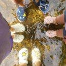 해미읍성황토펜션 이미지