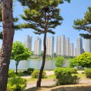 12호어린이공원 | [경기도 수원시] 영통구 광교 원천호수 가성비 타코 맛집 '텍사스타코 광교호수점'