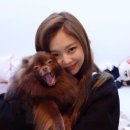 쿠마쿠마 이미지